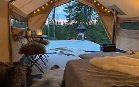 Glamping Tent With Amazing View In The Forest