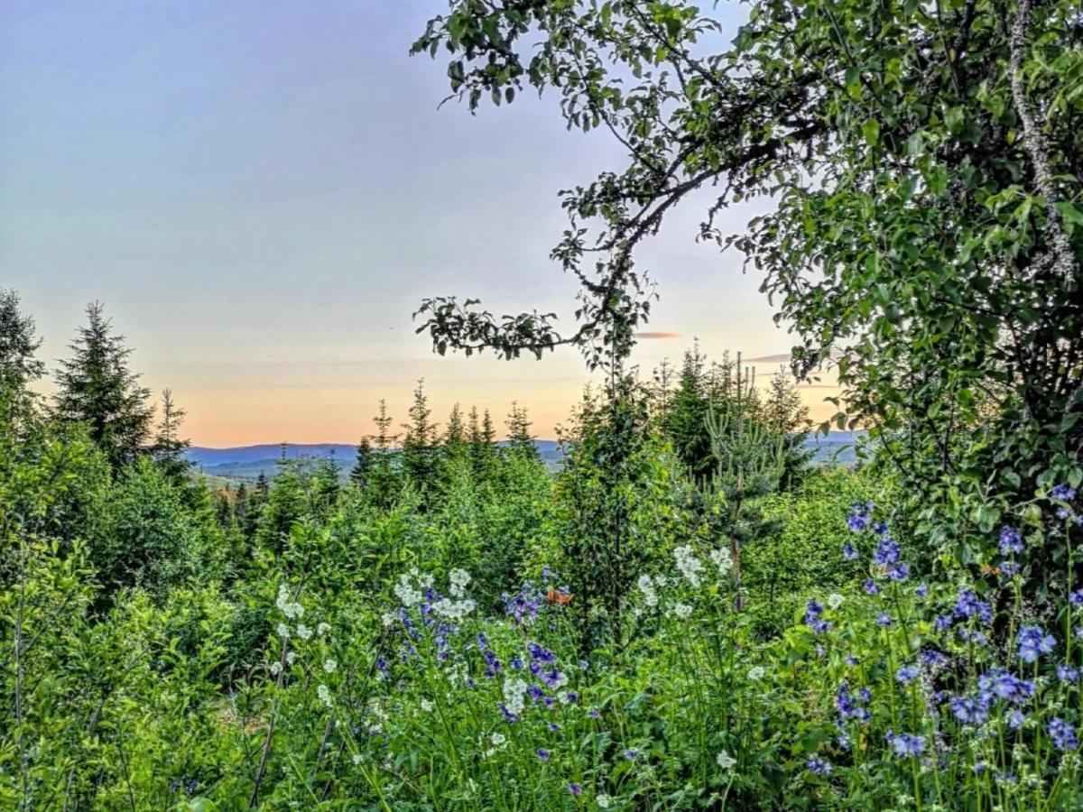Glamping Tent With Amazing View In The Forest Torsby Exteriör bild