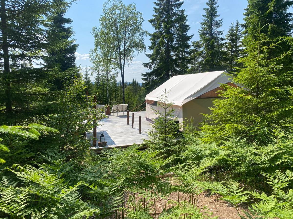 Glamping Tent With Amazing View In The Forest Torsby Exteriör bild