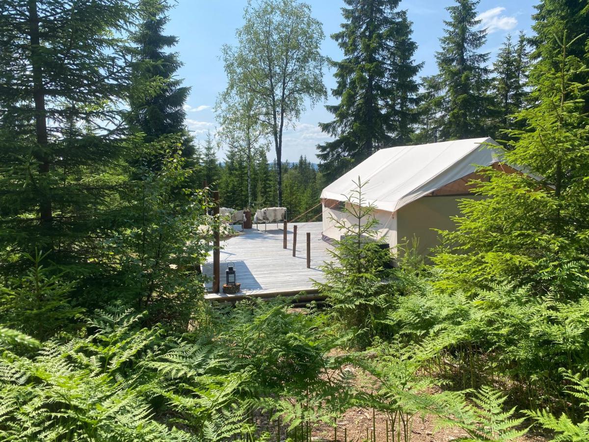 Glamping Tent With Amazing View In The Forest Torsby Exteriör bild